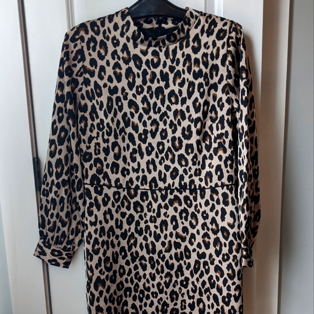 Ann Taylor Leopard Print Dress